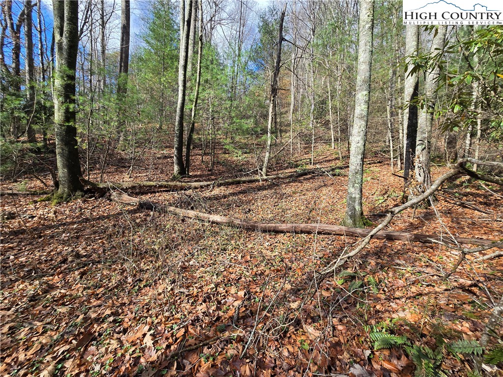 Lot 25 Riverstone Property Photo 1