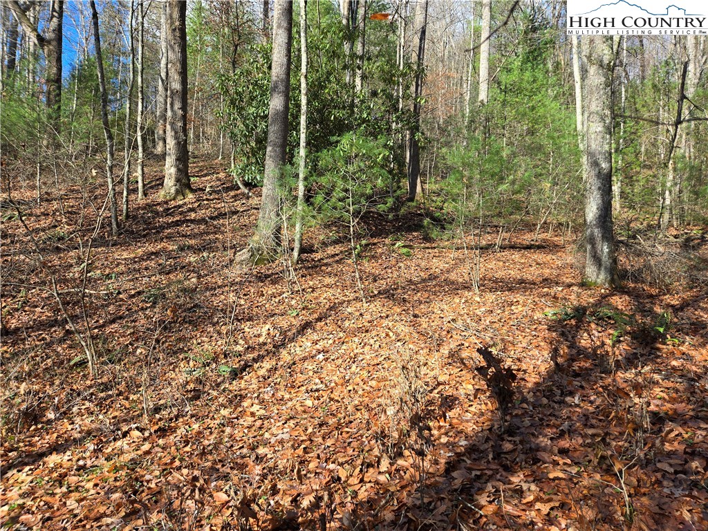 Lot 24 Riverstone Property Photo 1