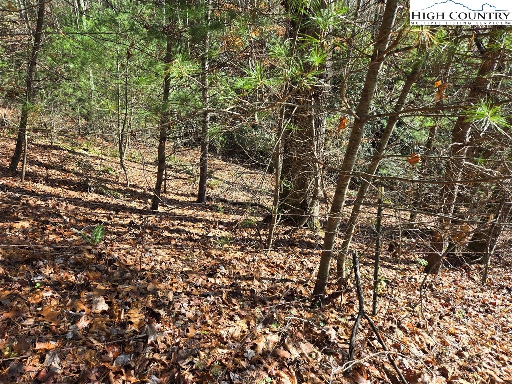 Lot 24 Riverstone Property Photo 4