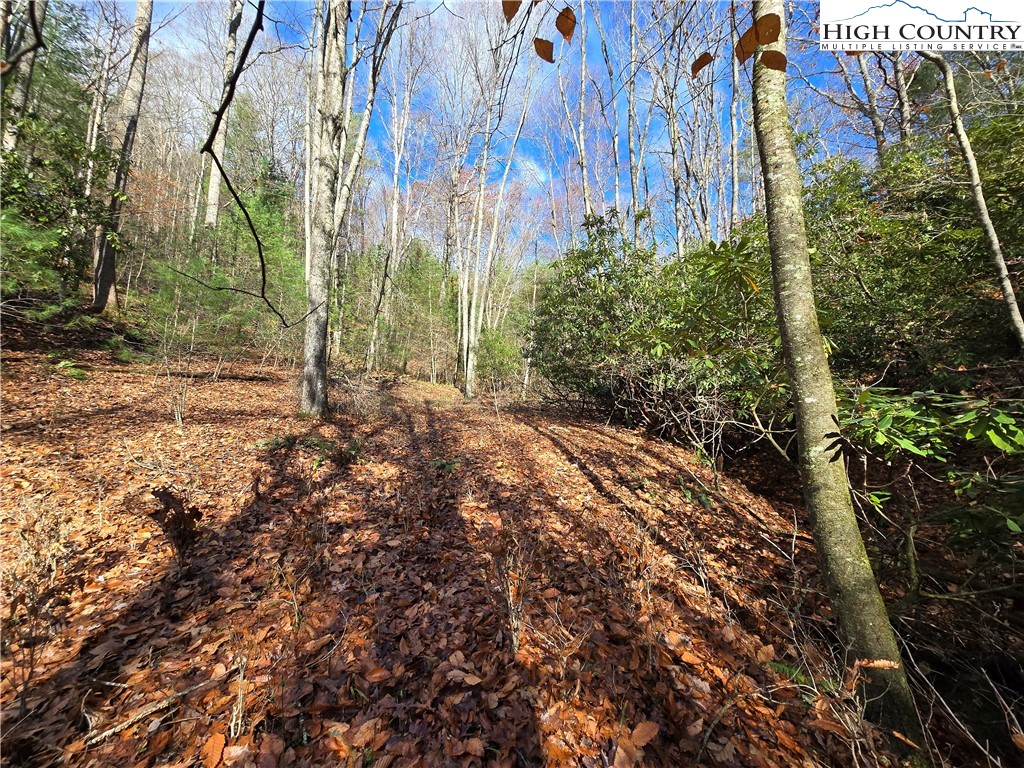 Lot 24 Riverstone Property Photo 5