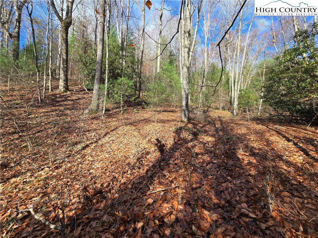 Lot 24 Riverstone Property Photo 9