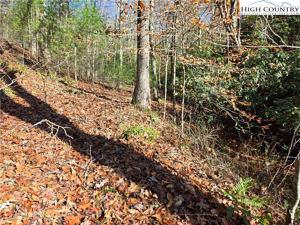 Lot 24 Riverstone Property Photo 11