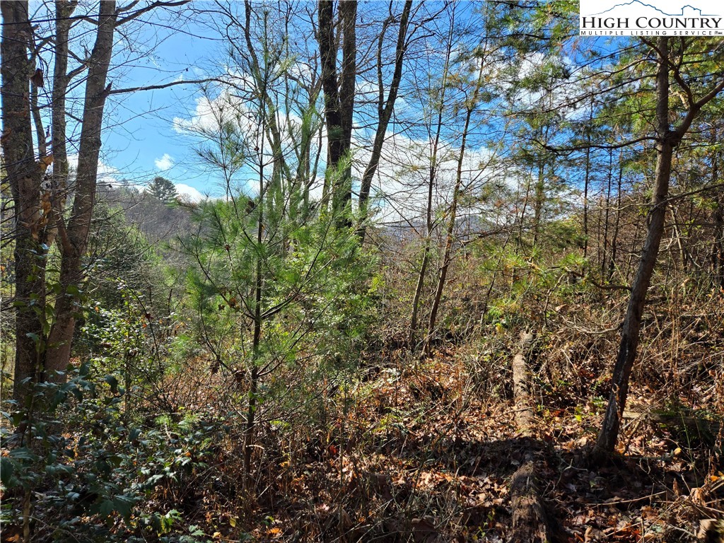 Lot 24 Riverstone Property Photo 12