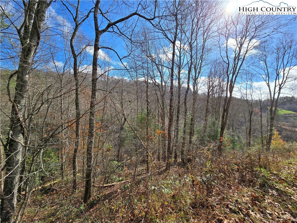 Lot 24 & 25 Riverstone Property Photo 1