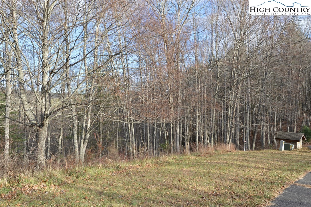 Lot #44 Prime Circle Property Photo 1