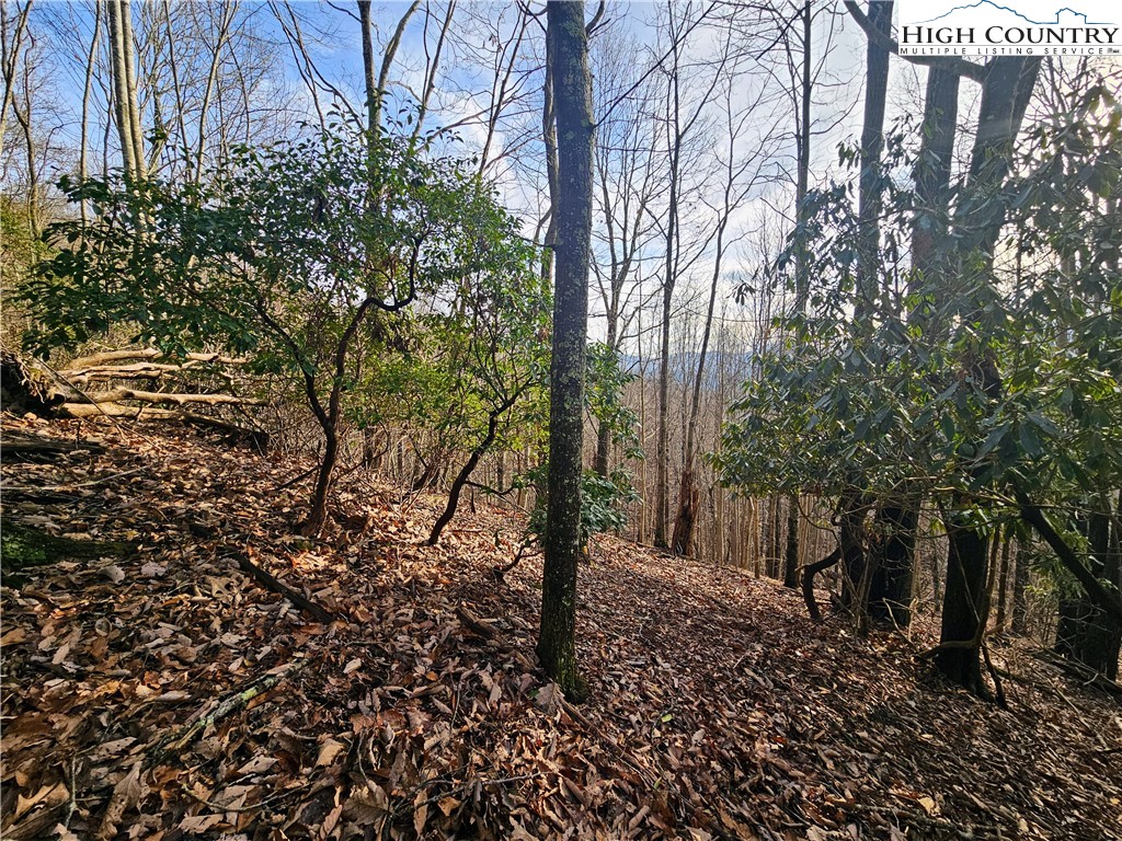 Lot 111 Sunset View Dr Property Photo 1