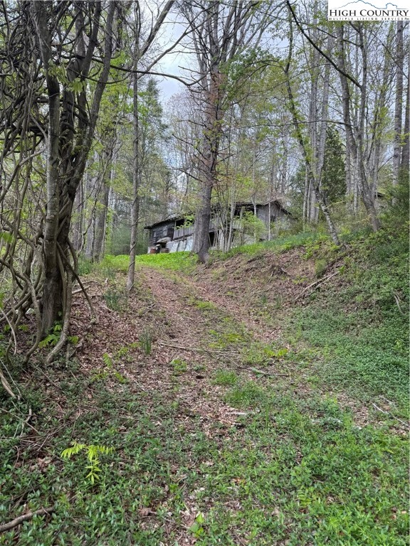 Tbd Us Highway 19e Road Property Photo 1