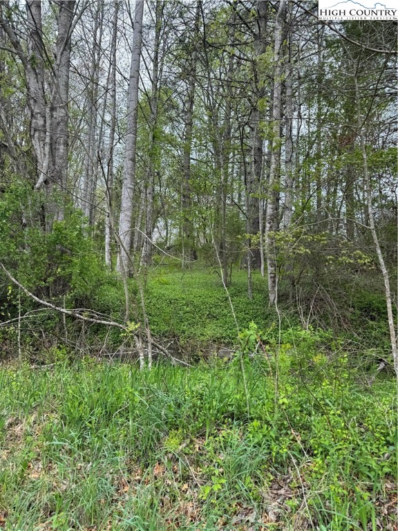 Tbd Us Highway 19e Road Property Photo 3