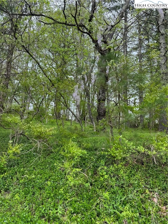 Tbd Us Highway 19e Road Property Photo 4