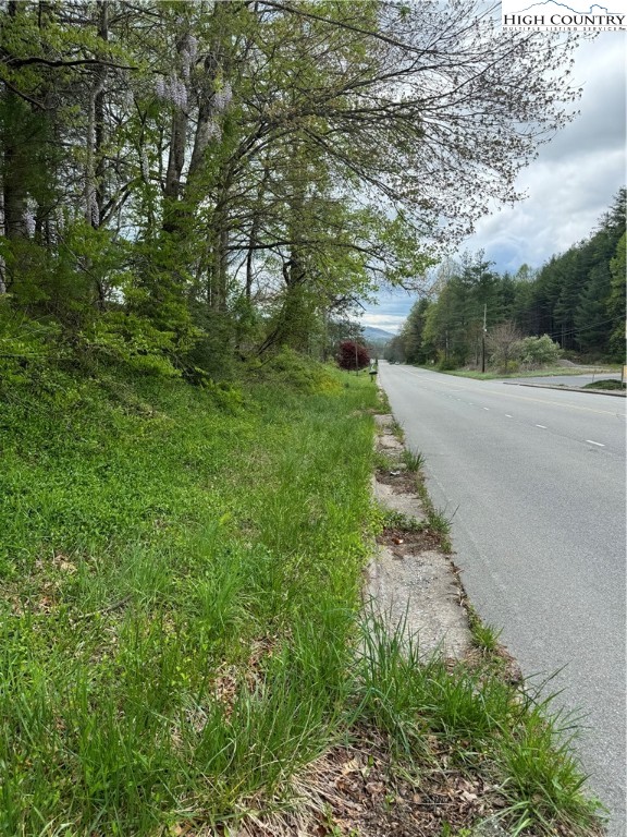 Tbd Us Highway 19e Road Property Photo 5