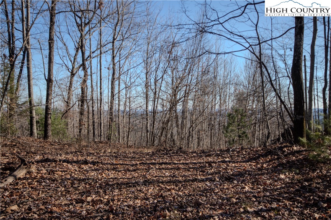 2215 Nighthawk Ridge Court Property Photo 3