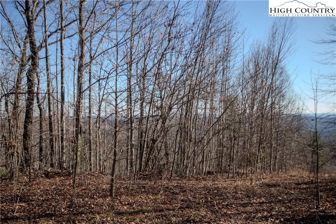 2215 Nighthawk Ridge Court Property Photo 4