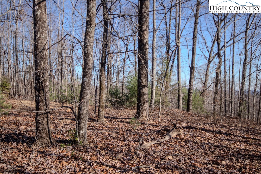 2215 Nighthawk Ridge Court Property Photo 5