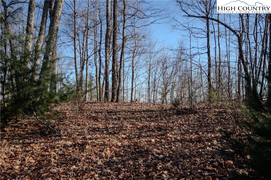 2215 Nighthawk Ridge Court Property Photo 6