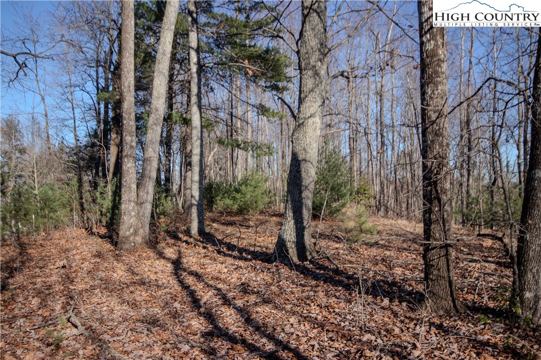 2215 Nighthawk Ridge Court Property Photo 7