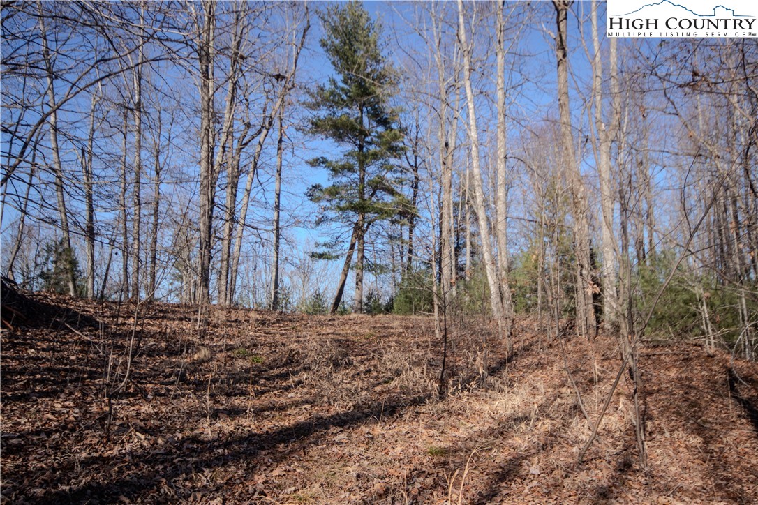 2215 Nighthawk Ridge Court Property Photo 8
