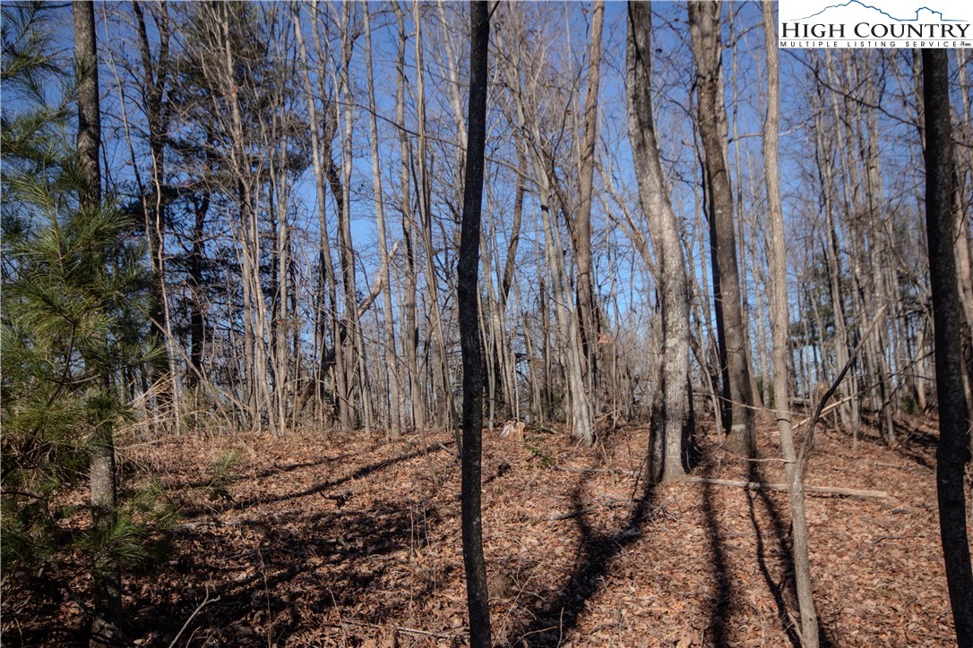 2215 Nighthawk Ridge Court Property Photo 9