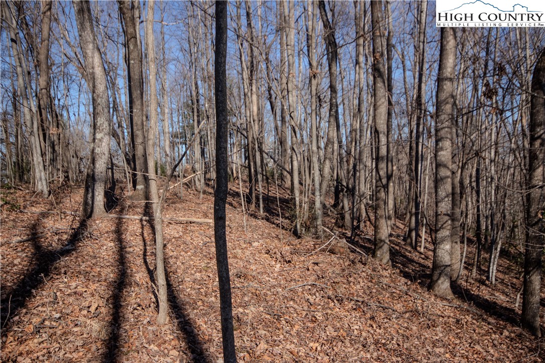 2215 Nighthawk Ridge Court Property Photo 10