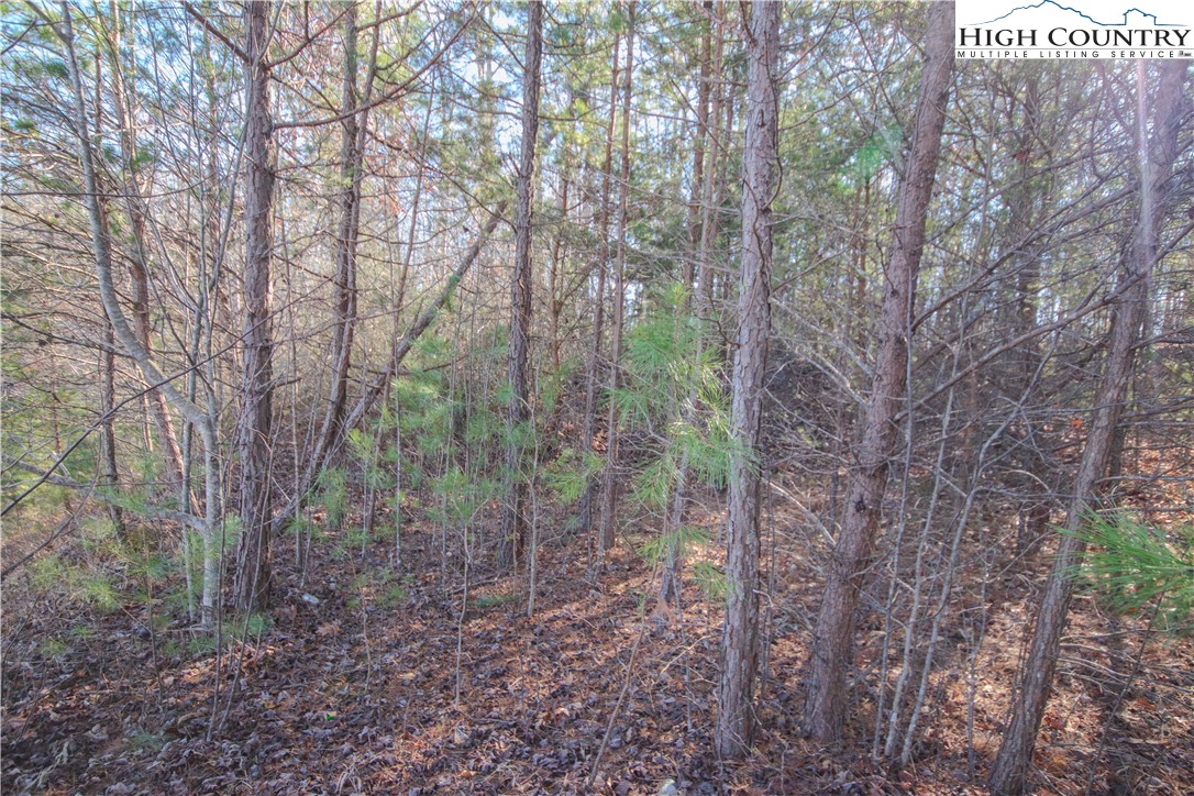 Lot# 82 Se Huntington Woods Street Property Photo 2