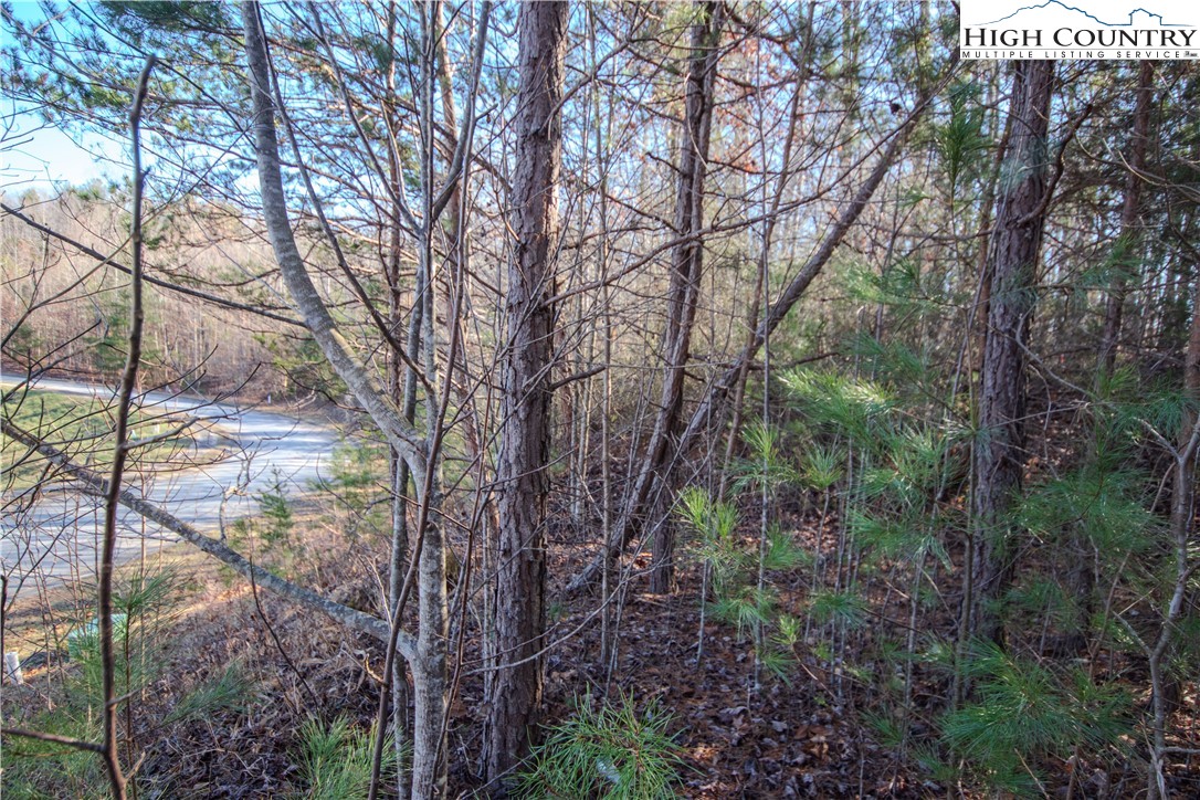 Lot# 82 Se Huntington Woods Street Property Photo 4