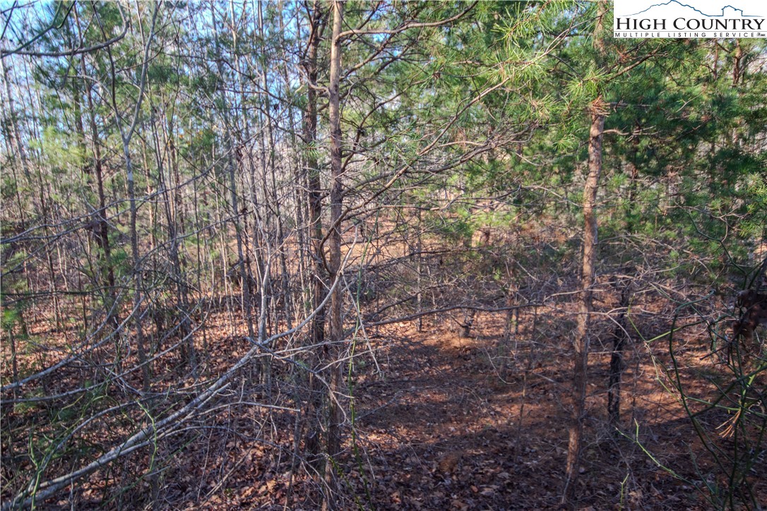 Lot# 82 Se Huntington Woods Street Property Photo 5