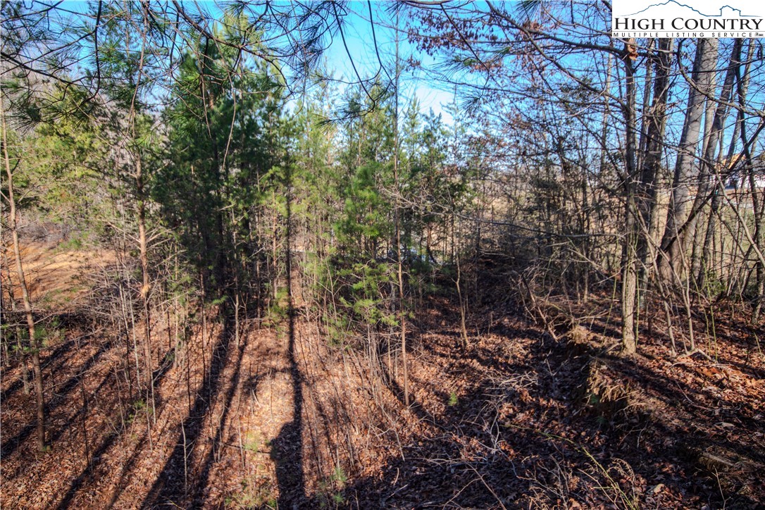 Lot# 82 Se Huntington Woods Street Property Photo 6