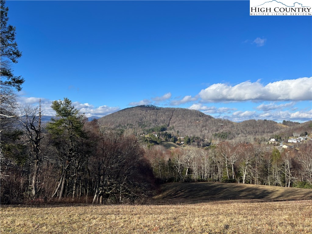 Lot 12 Hartley Knob Property Photo 1