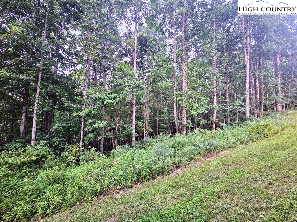 Lot 21 Eagles Landing Dr Property Photo 2