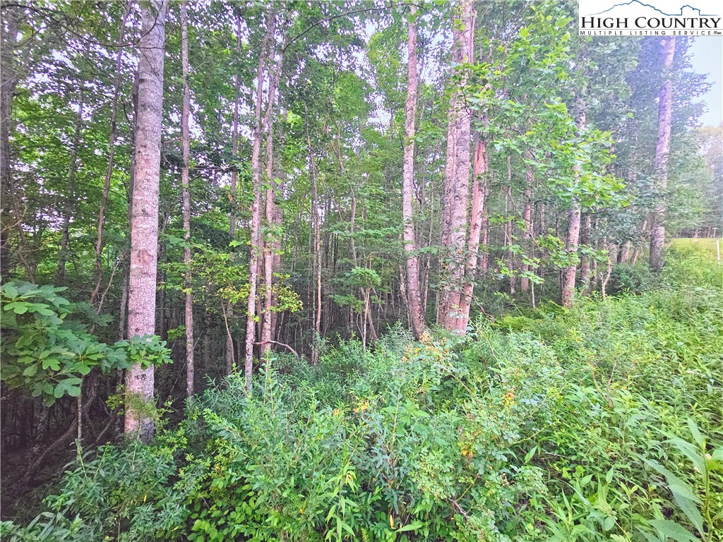 Lot 21 Eagles Landing Dr Property Photo 3