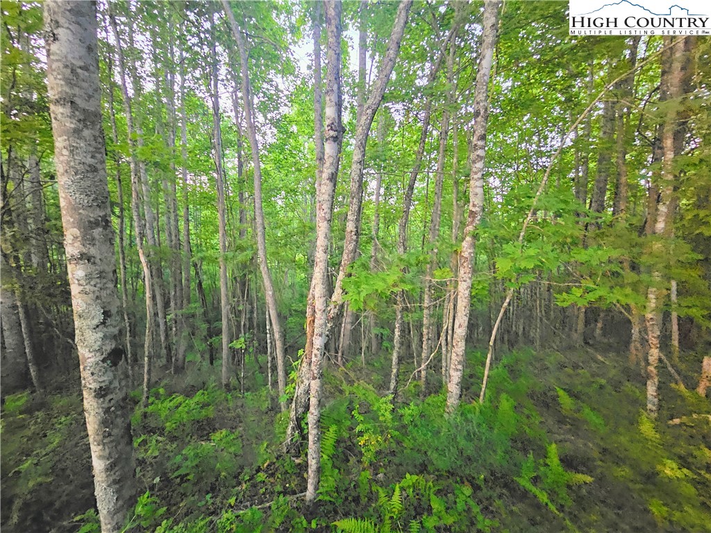 Lot 21 Eagles Landing Dr Property Photo 4