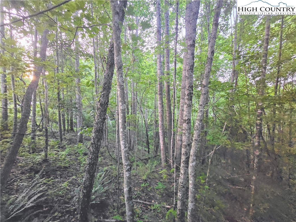 Lot 21 Eagles Landing Dr Property Photo 5
