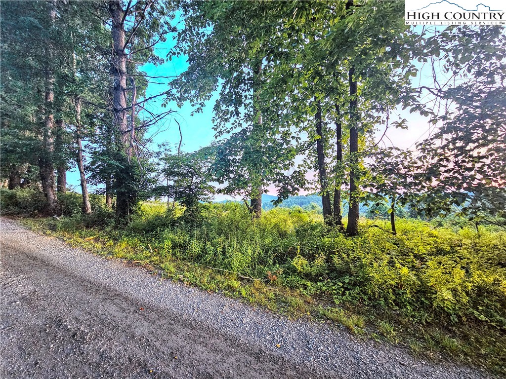 Lot 21 Eagles Landing Dr Property Photo 6