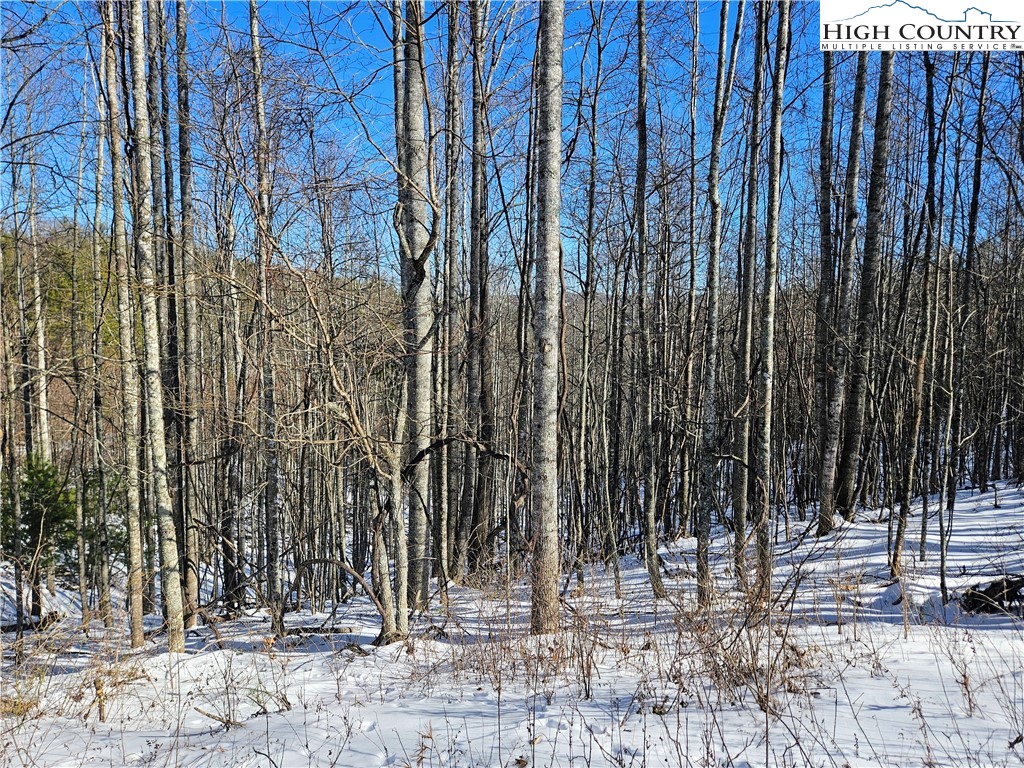 Lot 21 Eagles Landing Dr Property Photo 7