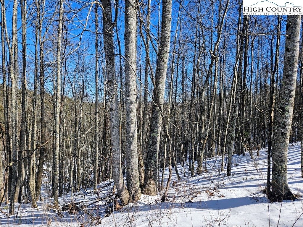 Lot 21 Eagles Landing Dr Property Photo 8