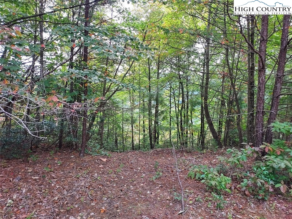 71 Elk Horn Road Property Photo 2