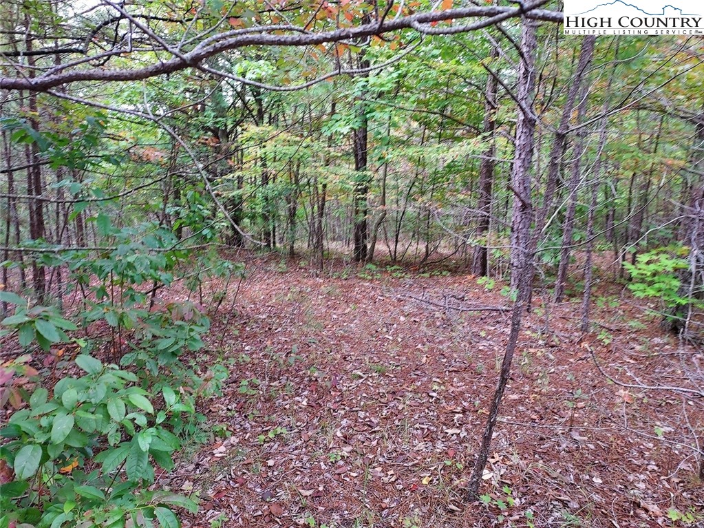 71 Elk Horn Road Property Photo 3