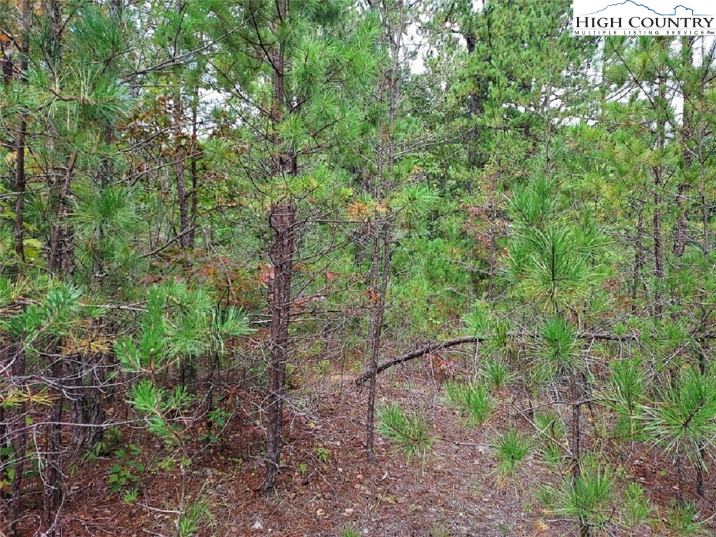 71 Elk Horn Road Property Photo 4