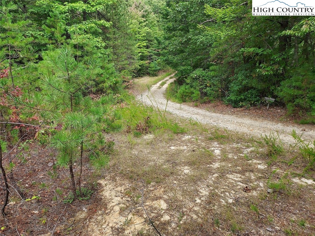 71 Elk Horn Road Property Photo 5