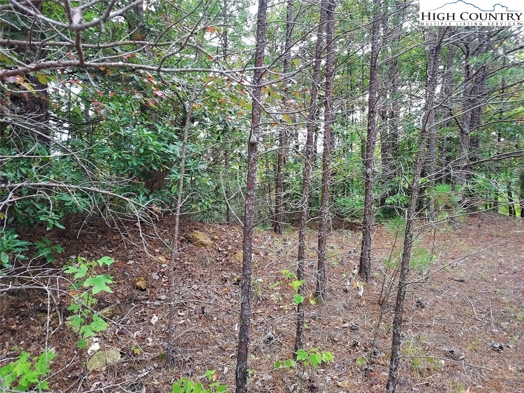 71 Elk Horn Road Property Photo 6