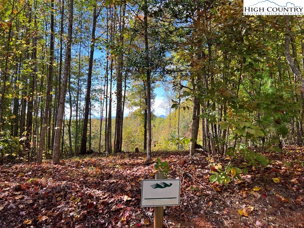 1.85 Acres, Lot 925 High Valley Way Property Photo 1