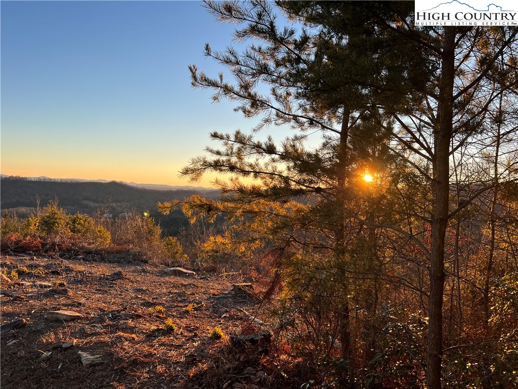 Tr 14 Blackberry Ridge Property Photo 3