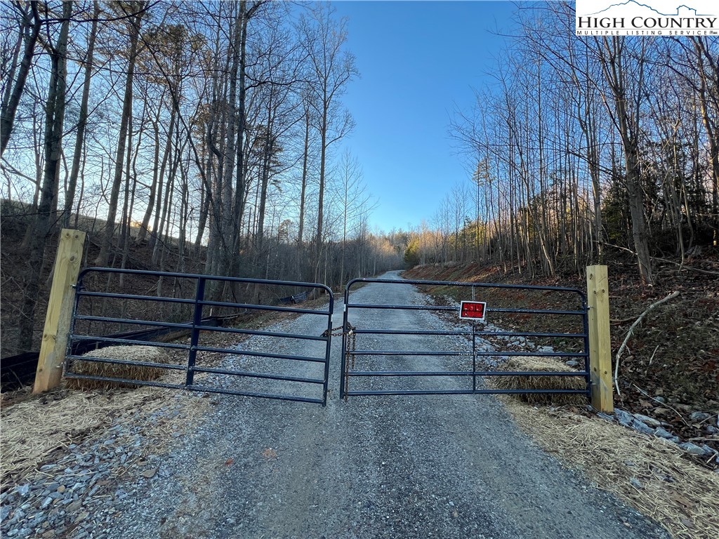 Tr 14 Blackberry Ridge Property Photo 4