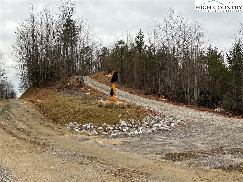 Tr 14 Blackberry Ridge Property Photo 5