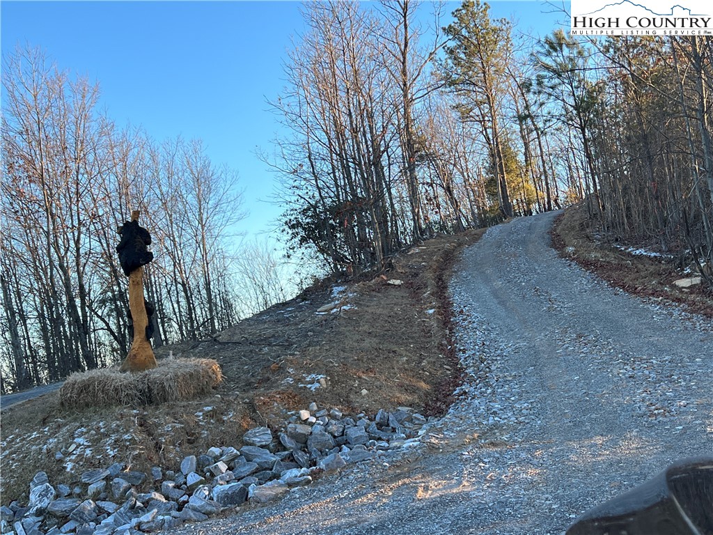 Tr 14 Blackberry Ridge Property Photo 6