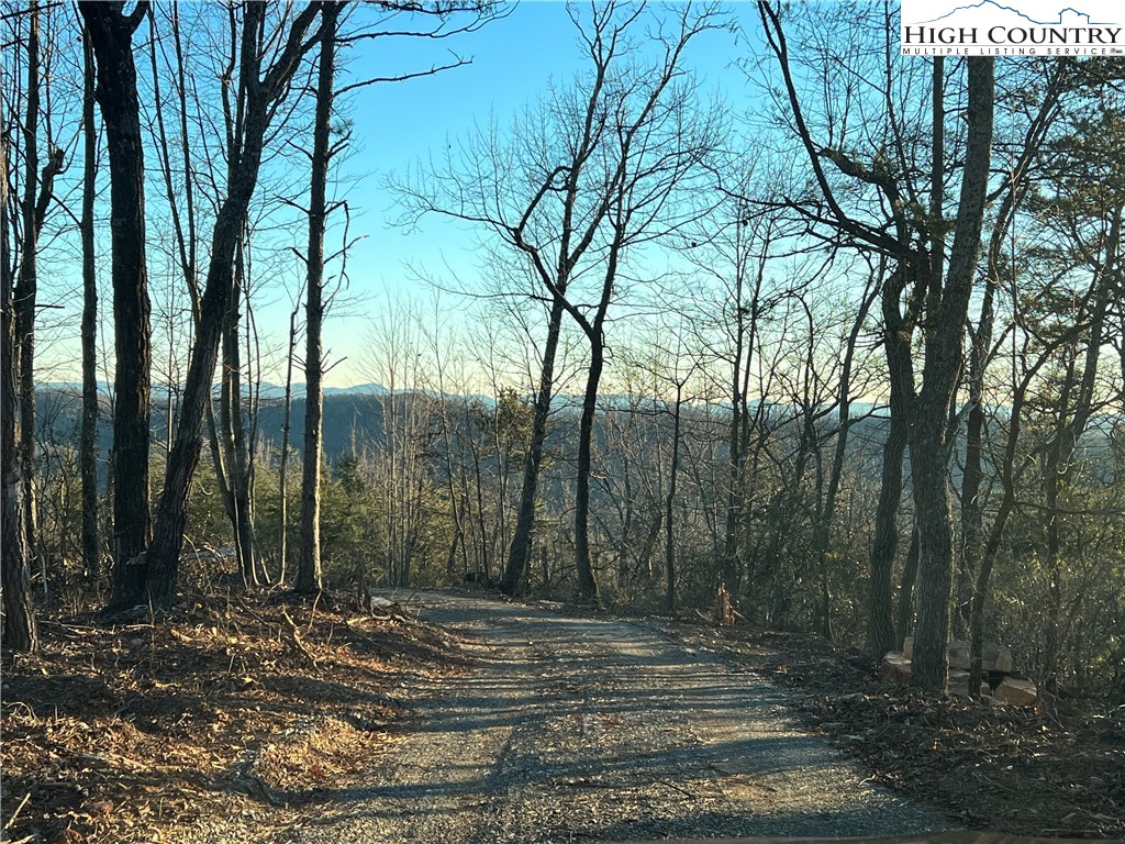 Tr 14 Blackberry Ridge Property Photo 7