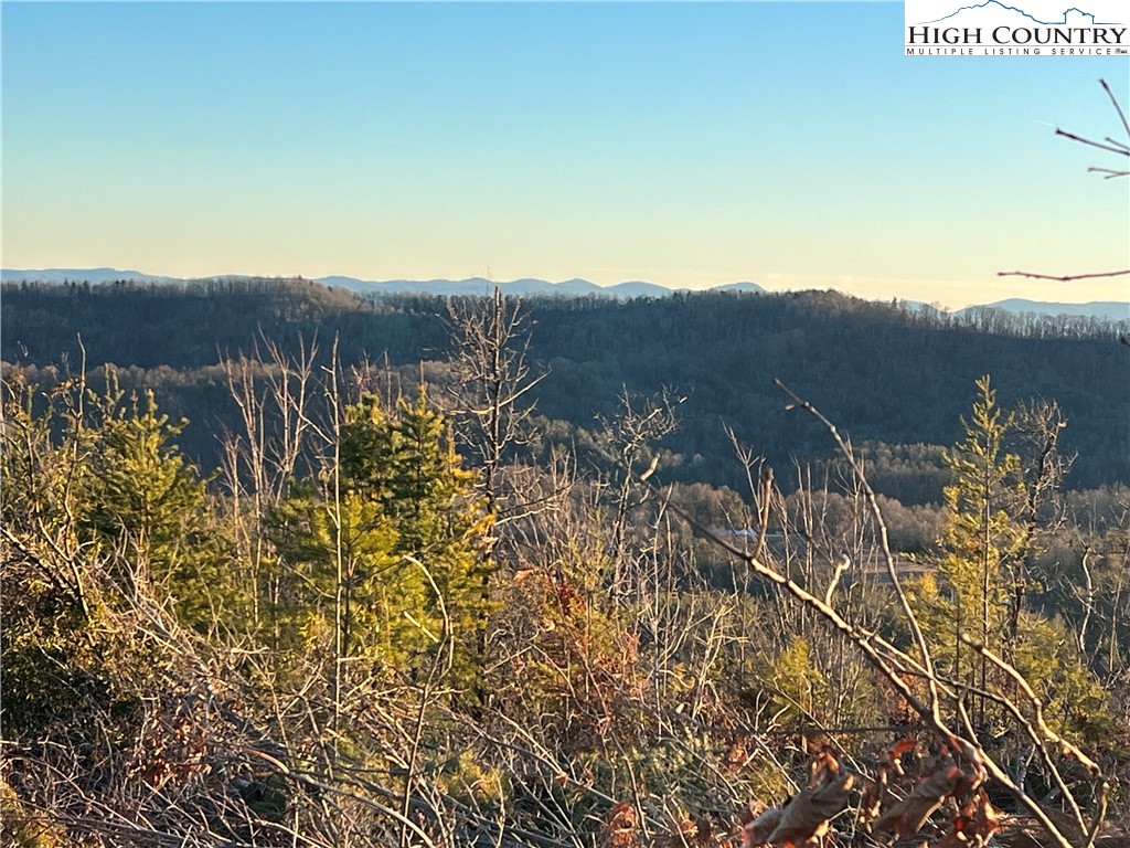 Tr 14 Blackberry Ridge Property Photo 10