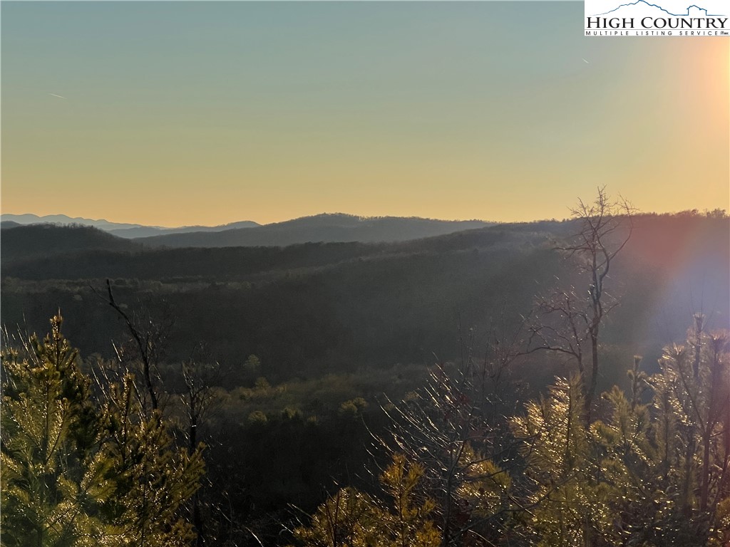 Tr 14 Blackberry Ridge Property Photo 15