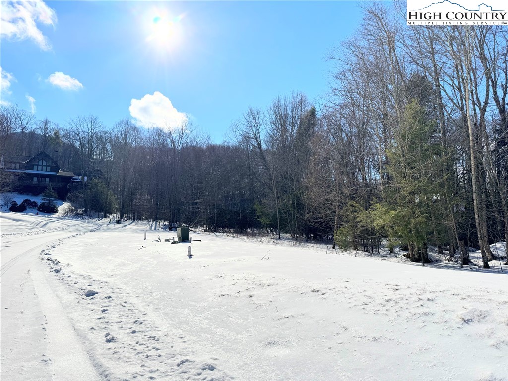 Lots 4 & 5 Trillium Lane Property Photo 1