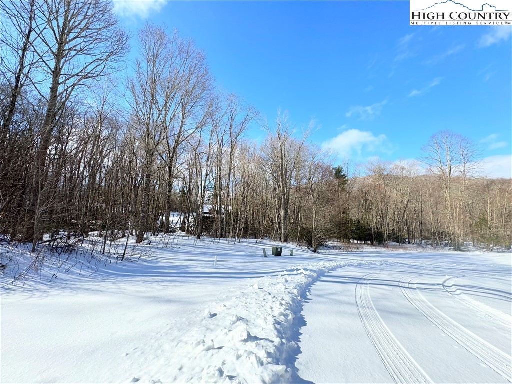 Lots 4 & 5 Trillium Lane Property Photo 4