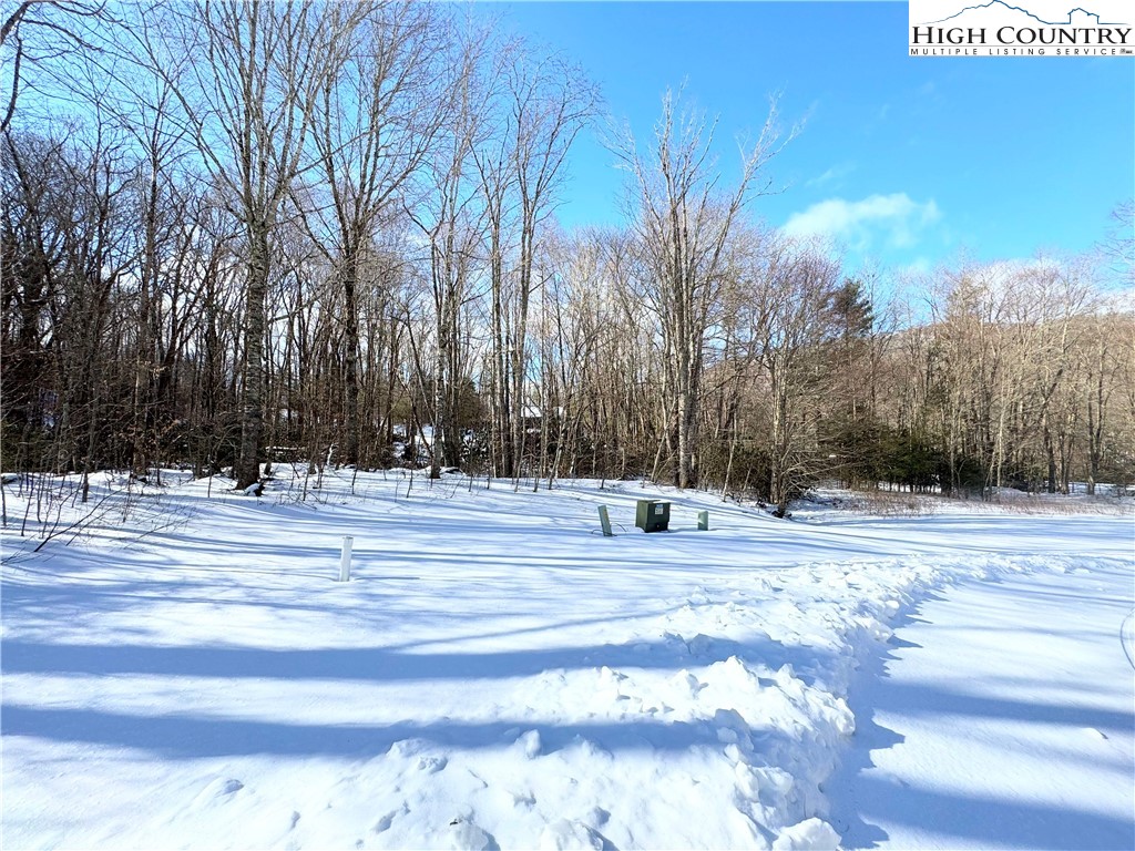 Lots 4 & 5 Trillium Lane Property Photo 5